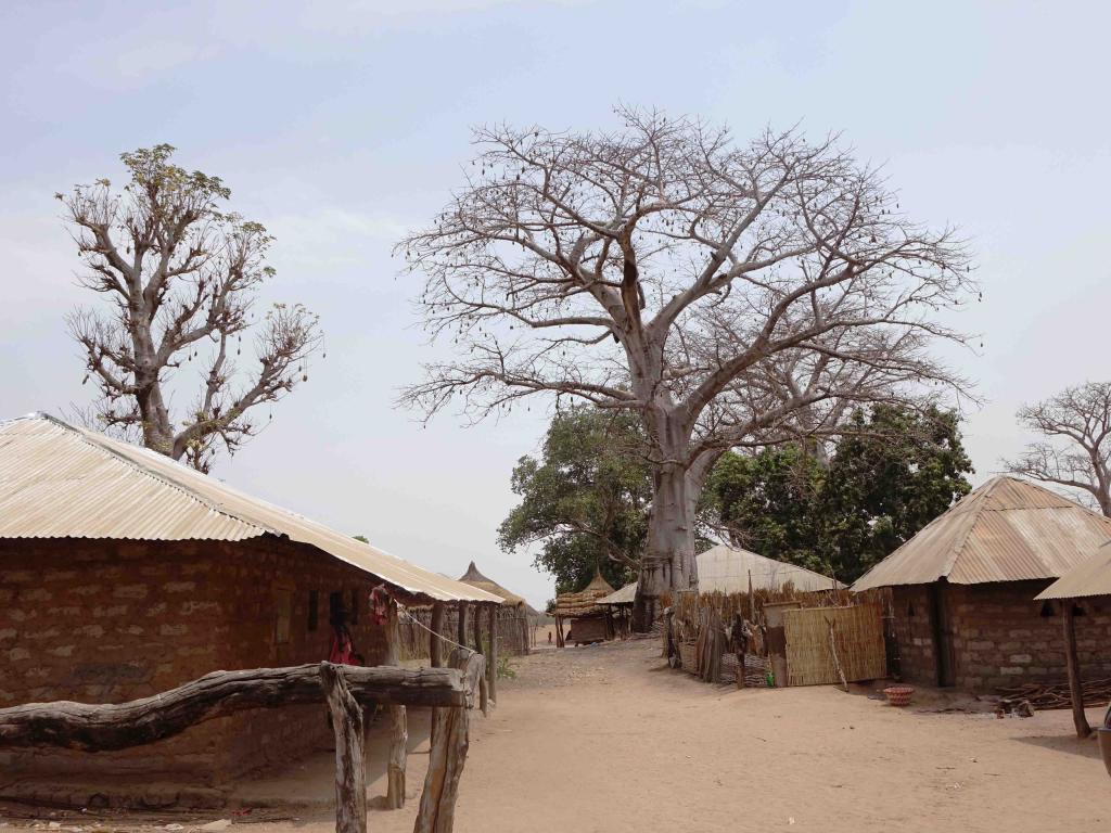 Kaira Looro 2026 Architecture Competition in Africa